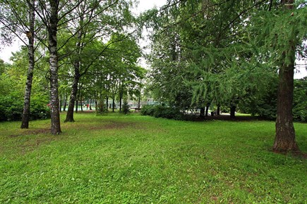 Зеленые лужайки в парке