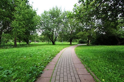 Прогулочные дорожки в парке