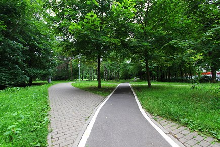 Прогулочные и беговые дорожки в парке